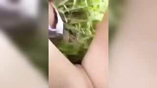 Rình lôi bé lớp 10 vào bụi cỏ để địt,e có nó phản kháng như không đáng kể