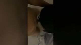 Học sinh mới lớn trốn học đi nhà nghỉ