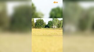 Dâm nữ vú bự nứng lồn cùng bạn trai sờ mò bú cặc public trên taxi phía sau a tài xế 1
