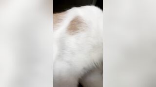 Em gái mới lớn lồn múp ở nhà nứng lồn quá thủ dâm cho bớt ngứa lồn