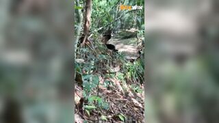 Hành trình dẫn em ghệ xinh dâm lên núi tránh nóng p2