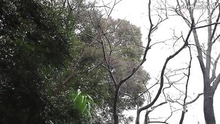 Em học sinh về quê phụ công việc của gia đình thì bị một gã khách hàng nắm thóp