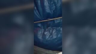 Vãi cả lọ 2 anh em rủ nhau ra chuồng gà để địt nhau