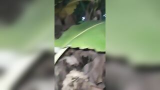 Lén đụ vợ thằng hàng xóm cảnh nhà trong bụi chuối kiến cắn thấy bà.