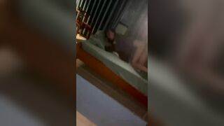 nhân trần bé 2k9 bướm còn chưa kịp mọc lông