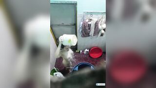 Quay lén em dâu cực xinh vú múp đi tắm,nhìn e là thèm thịt liền