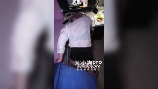 PUPPY PRO 42
