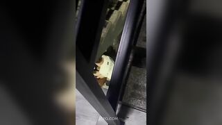 HS GIỜ BÁ ĐẠO NHỈ , NGANG NHIÊN ĐỊT NHAU, DƯỚI GẦM CẦU THANG , TRUNG CƯ