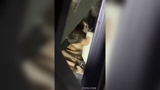 HS GIỜ BÁ ĐẠO NHỈ , NGANG NHIÊN ĐỊT NHAU, DƯỚI GẦM CẦU THANG , TRUNG CƯ