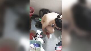 Quay lén chị dâu kính cận vú bự đi tắm ngồi rửa lồn đã mắt