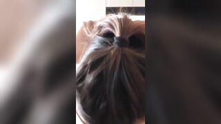 Em hàng kỹ năng bú cu peak vãi