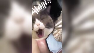 Cho con bạn thân bú con cặc khủng lút cán dâm đãng