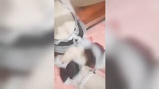 E học sinh thcs mặc đồ hầu gái khoe bướm 1