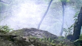 Sex cổ Trung Quốc: Kim Bình Mai