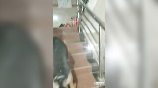 Quay lén dưới váy các em teen dâm ra đường mà chẳng thèm mặc quần lót p1