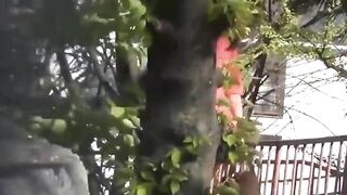 Quay lén, Nữ Đồng nghiệp Đái bậy ở Công viên loli mình dây