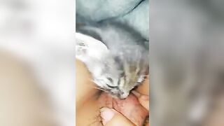 Bé mèo hạnh phúc nhất lúc này