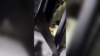 Vẫn phải là quán bar, Phúc Châu BGM cầu thang chiến thần, tôi cũng muốn thử xem 😂