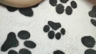 Dì sang nhà chơi, nửa đêm thằng cháu vào chịch lén