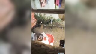 Trèo tường quay lén chị dâu đi làm về khuya hay đi tắm