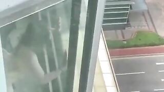 Định ra cửa sổ ngắm cảnh gặp ngay cảnh thằn lằn bám kính