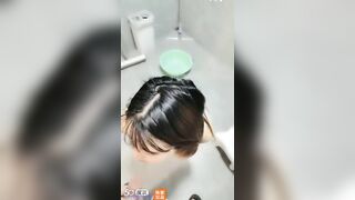 Những con chó cái được nuôi trong nhà bị ép uống nước tiểu theo nhóm. Con nào ngoan