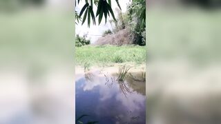 Gạ chị hàng xóm cho xem vú lồn ở ngoài đồng tý thì địt được