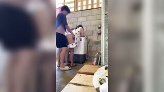 Cháu họ nứng cặc sang nhà dì vạch ra đứng năn nỉ xin dì cho đụ được dì thương cho đụ.