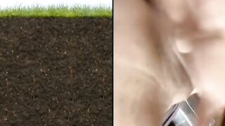 Live tiktok móc nhiệt tình nghe nhóp nhép