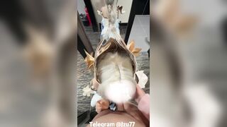 Nhỏ e họ loli cosplay chuẩn bị đi lễ hội thì thằng a lại bắt quỳ bú cu mới cho đi