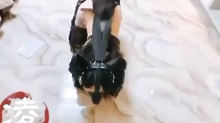 Bé Cún Nhà Tui