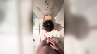 Huấn luyện em salve uống nước đái