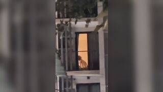 Hàng xóm mở cửa sổ địt nhau cưỡi cặc điên loạn dâm đãng vkl