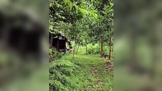 Cặp đôi đang đụ nhau bị phát hiện la lên thì cả 2 chạy tán loạn.