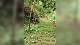 Cặp đôi đang mượn tròi đụ bị ông chủ phát hiện la lên họ chạy tán loạn.