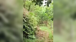 Cặp đôi đang mượn tròi đụ bị ông chủ phát hiện la lên họ chạy tán loạn.
