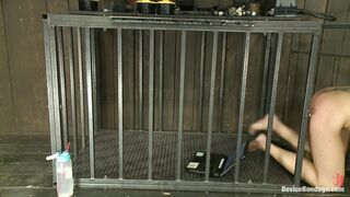 TRA TẤN BDSM 12
