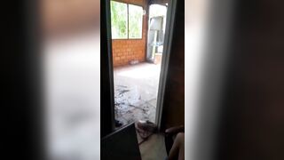 Đi xách vữa, Ck tranh thủ cho Vợ đụ với cu em làm cùng