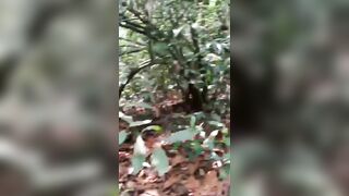 Phá trinh em đồng bào dễ thương giữa rừng - phần 1