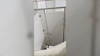 Quay lén cô gái làm gì trong toilet