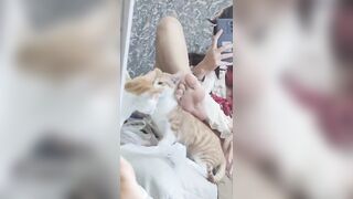 Anh em có ước được làm con mèo trong video không