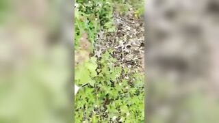em học sinh mới lớn lên đồi đụ nhau cho mát