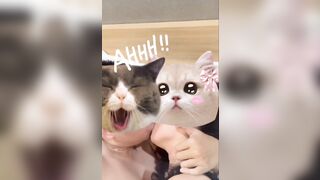 Vô phòng đúng lúc cô bạn thân đang thay đồ