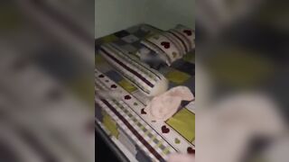 Cả nhà ngủ Chị dâu đóng cửa nhẹ nhàng qua bú cu