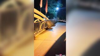 Show hàng