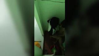 Bạo vl, học thêm ở nhà thầy cũng lén vào 1 góc tụt quần nhau ra địt