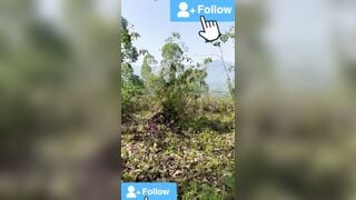 em ghệ cực phẩm và dâ m đãng với cai quần lót ren cực kì kích  thích của cô nàng