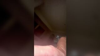 nhân trần bé rau non Hồng Hào Ngọt Nước -phần 5