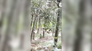 Em teen Việt MỹHạnh2000 mông to tròn thích chổng mông show lồn múp giữa đường