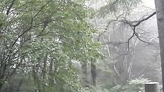TRA TẤN GÁI NHẬT CLASSIC 64